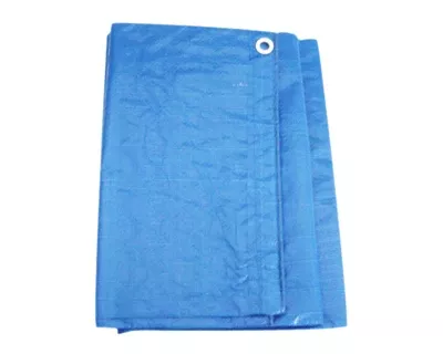 10 ft. X 12 ft. BLUE TARP (31-T1012)