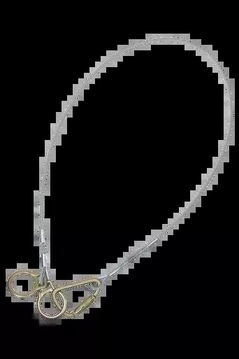 3' Cable Carabiner Sling Anchor with Galvanized Steel Cable (PN 84202D3)