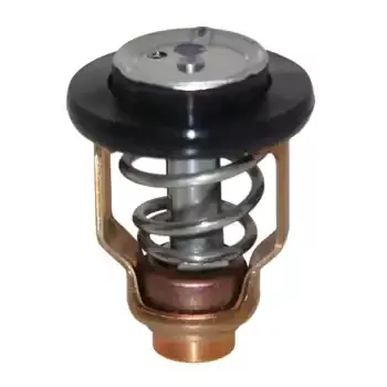 Yamaha Thermostat Assembly OEM 6CE-12411-00-00 4.2L V6 Buy Direct